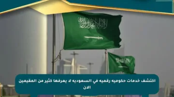 اكتشف خدمات حكومية رقمية في السعودية لا يعرفها كثير من المقيمين الآن